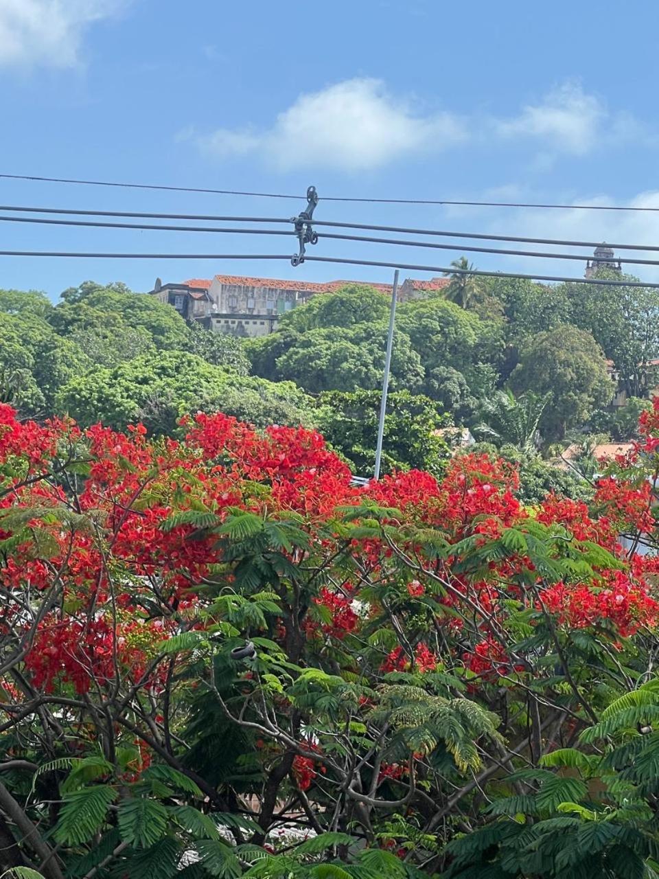 Pousada Do Leo Olinda Exteriör bild